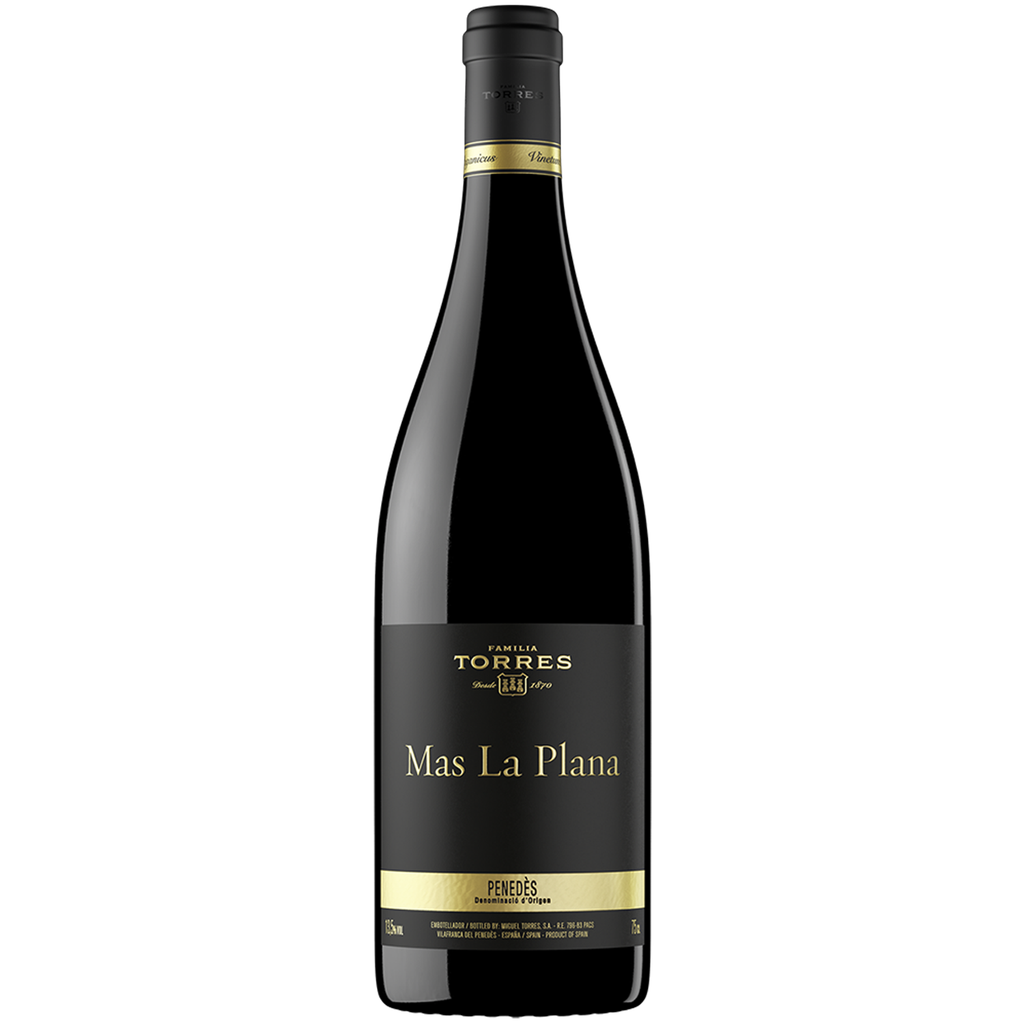 FAMILIA TORRES MAS LA PLANA 2017