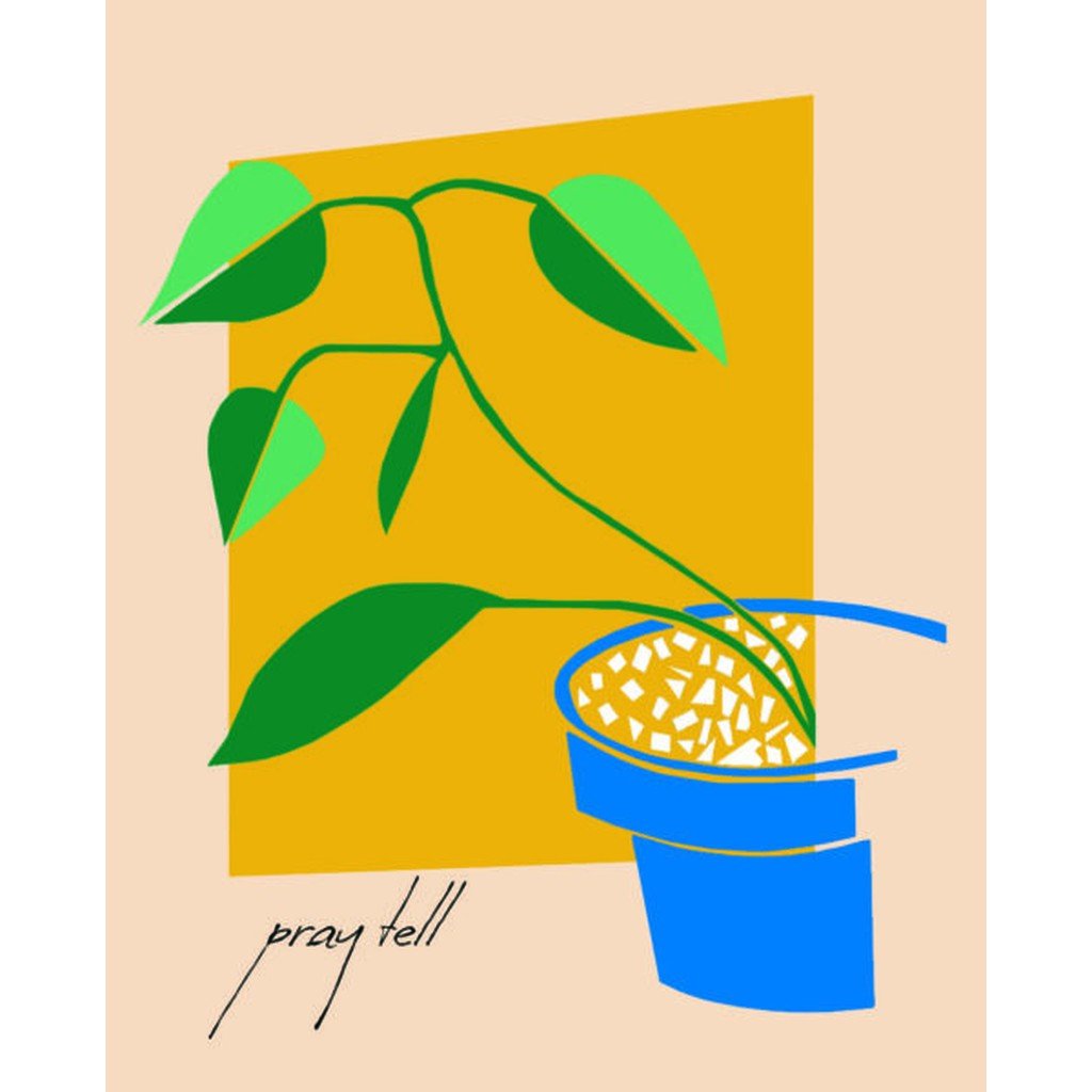 PRAY TELL WINES PINOT NOIR WILLAMETTE VALLEY 2021 - SipNYC