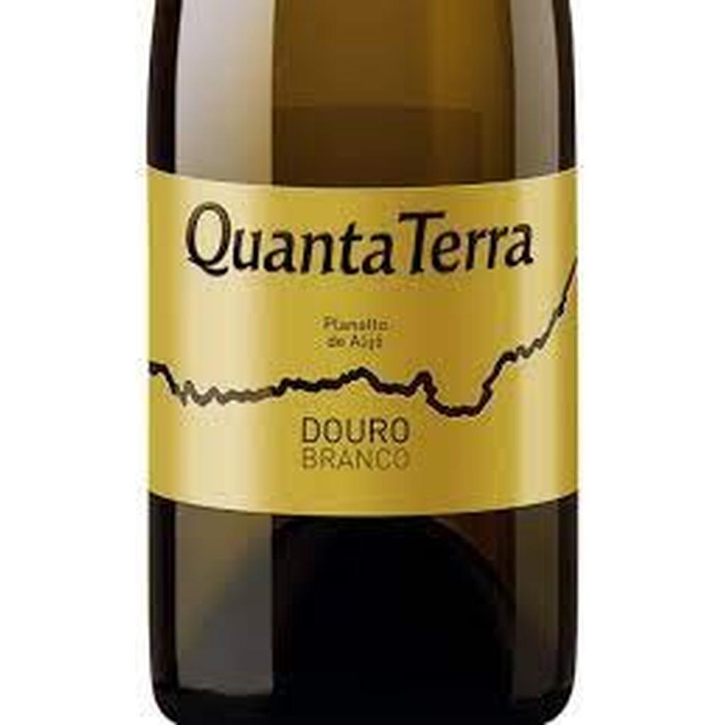 QUANTA TERRA DOURO BRANCO 2015