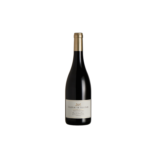 CHATEAU DE VALCOMBE COSTIERES DE NIMES RED 2020