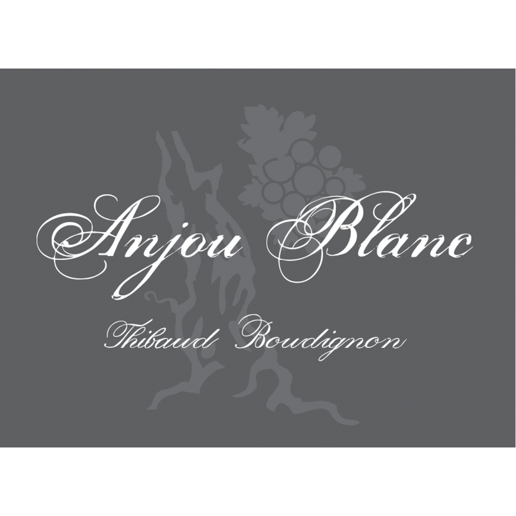 THIBAUD BOUDIGNON ANJOU BLANC 2023 - SipNYC
