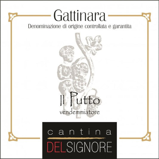 CANTINA DELSIGNORE GATTINARA IL PUTTO 2019